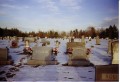 3 Forks Baptist Cemetery * 872 x 596 * (127KB)